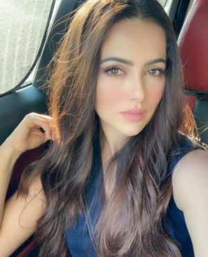 Model Call Girls In Dubai image 252744