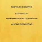 Sparkles Escorts image 310865