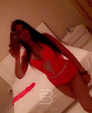 Stoke-on-Trent Escorts – Andrea in Birmingham, photo 3