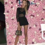 Staffie image 378692