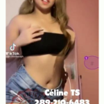 Hot Sexy Asian MASSAGES BBBJ GFE for Men by TS CELINE image 396158