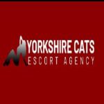 Yorkshire Cats image 411031
