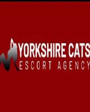 Yorkshire Cats image 411031