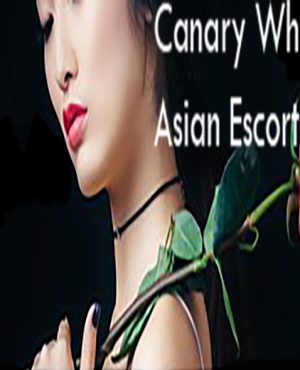 Canary Wharf Asian Escorts image 439269