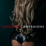 High Class Busty Escort in Manchester image 441473