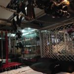 Mistress Betty image 452917