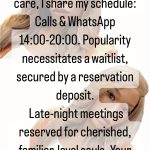 Only on appointment image 499998