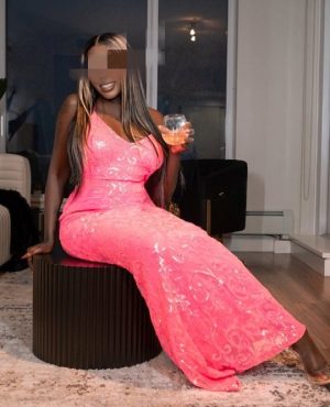 Royal,

                independent image 557520