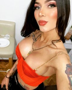 Haus-, Hotel- und Bürobesuch image 562727