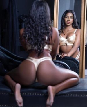 Canela, independent image 580583