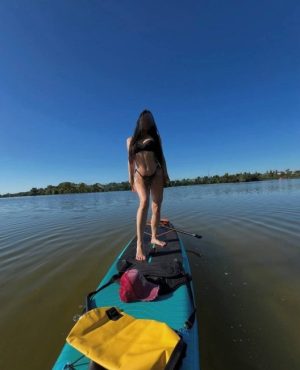 Sili, independent image 581126