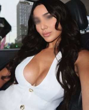 Viora, agency Cat Agency image 584872