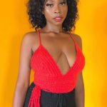 Tams, independent image 586921