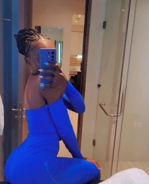 Polly, independent image 590498