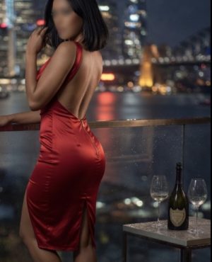 Carmen Skye | Exotic Minx | 0487 282 222 image 604054